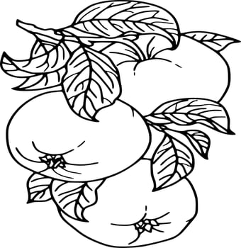 Black and white vector flowers