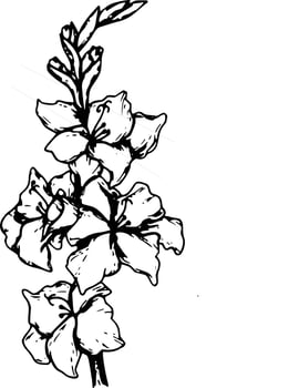Black and white vector flowers