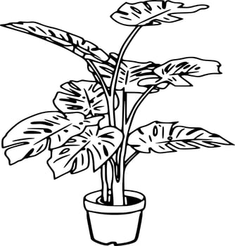 Black and white vector flowers