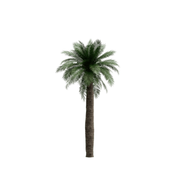 Isometric Tree 3D render png