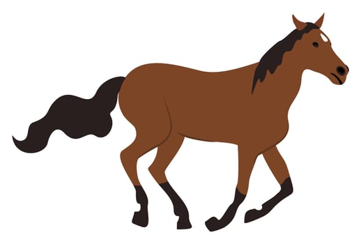 Vector isolated illustration of running horse isolated on white background.