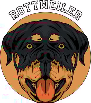 Rottweiler dog face vector