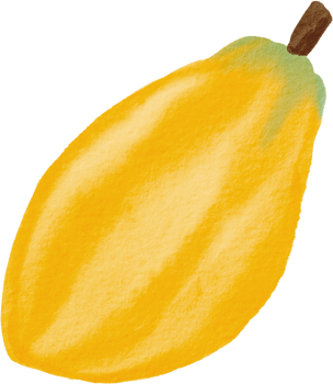 cutout cacao fruit simplicity watercolor painting. png