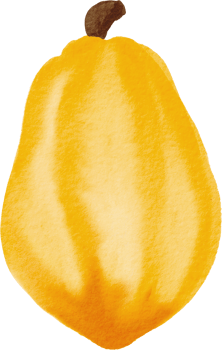 cutout cacao fruit simplicity watercolor painting. png