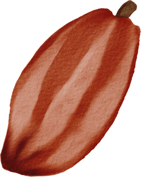cutout cacao fruit simplicity watercolor painting. png