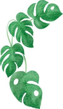 cutout monstera leaf watercolor simplicity painting. png