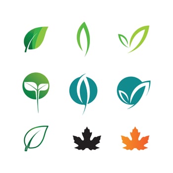 Plant Seeds Logo Concept Template Vector.growing seed logo.Seed grow Vector logo illustration design template