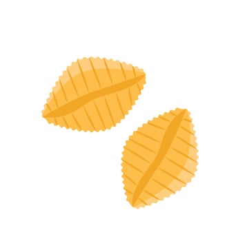 Pasta types, italian noodles and macaroni. Restaurant delicious menu. Vector flat style cartoon pasta illustration isolated on white background