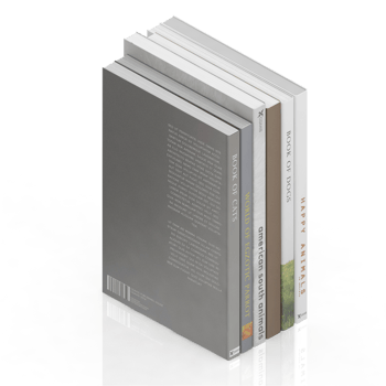 Isometric Books 3D render png