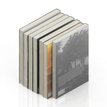 Isometric Books 3D render png