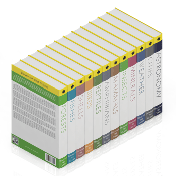 Isometric Books 3D render png