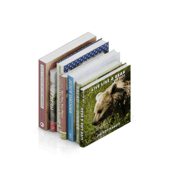 Isometric Books 3D render png