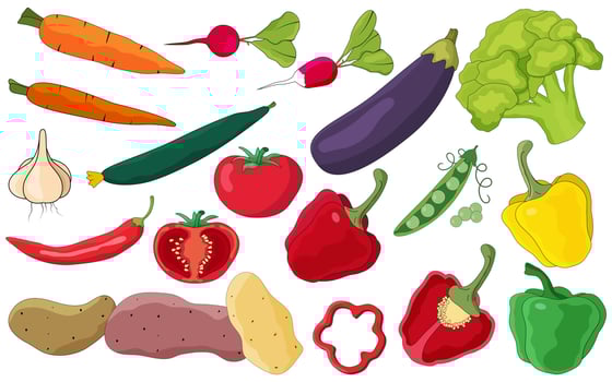 Set of different vegetables isolated on white background.Fresh vegetables, autumn harvest.Broccoli, potatoes, radishes, tomatoes, peas, peppers, chili peppers lying nearby.Flat vector illustration .