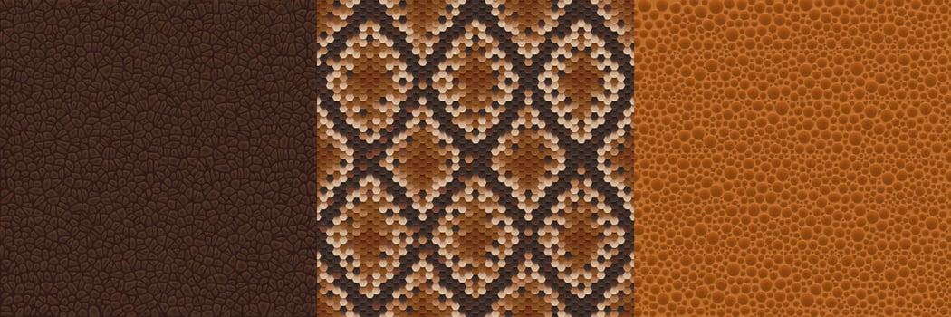 Textures of snake, crocodile or lizard skin vector