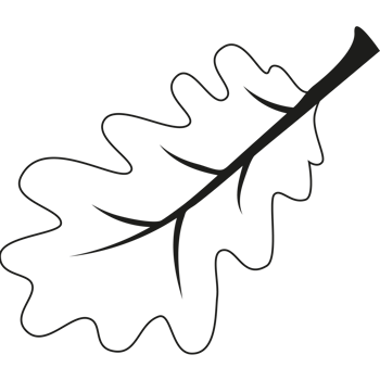 Oak leaf. Outline illustration of oak leaf png