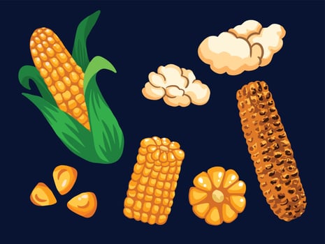 Corn collection set from seed, pop corn, and roasted corn. Yummy summer tropical food vector illustration with flat hand drawn art style.