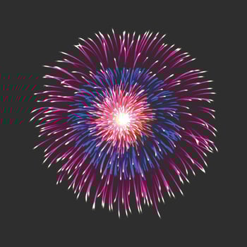 New firework sign vector