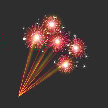 New firework sign vector