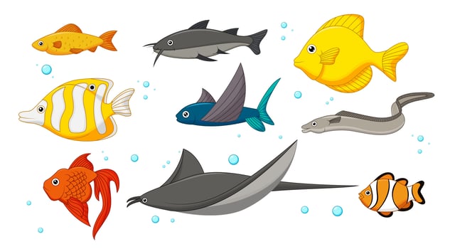 Water Life Cartoon Set, Vector Illustration
