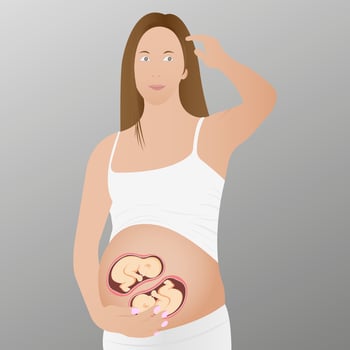 Pregnant woman with twins in the womb. Vector illustration