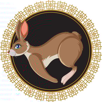 Chinese Lunar New Year Rabbit symbol 2023 vector