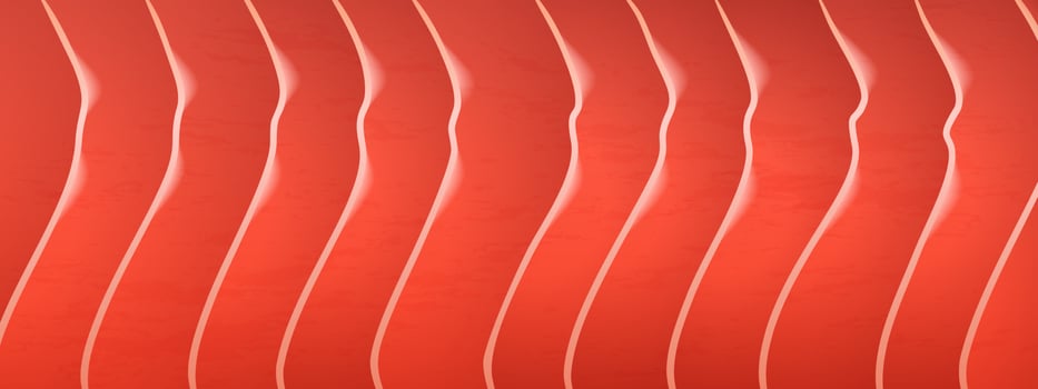 Salmon fillet texture, red fish meat pattern vector