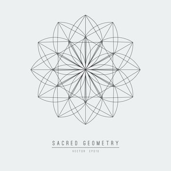 Sacred geometry line vector element flower of life . Vector illustration .