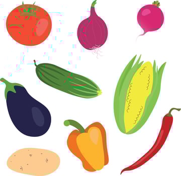 Set of delicious vegetables isolated on white background. Healthy vegan products. vector