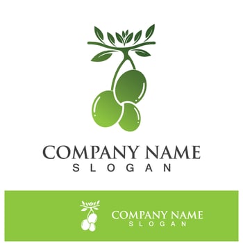 Extra virgin olive oil logo design vector