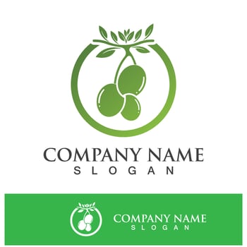 Extra virgin olive oil logo design vector