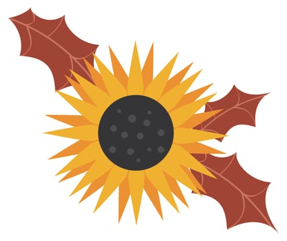 sunflower autumn season vector