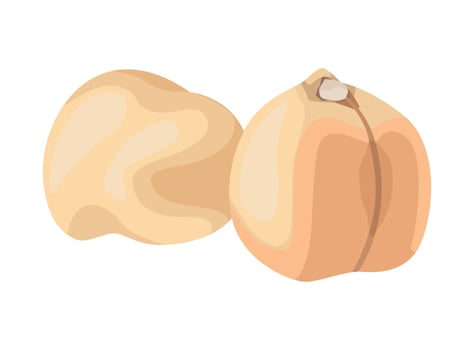two hazelnuts products vector