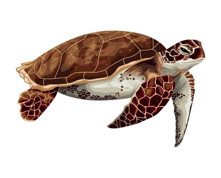 turtle marine life animal vector