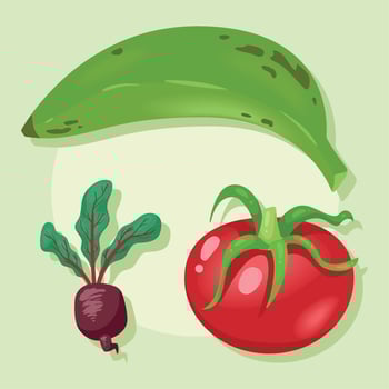 three fresh vegetables icons vector