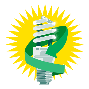Lightbulb  Isolated Background png