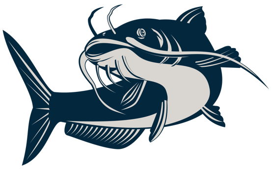 Catfish Jumping  Isolated Background png