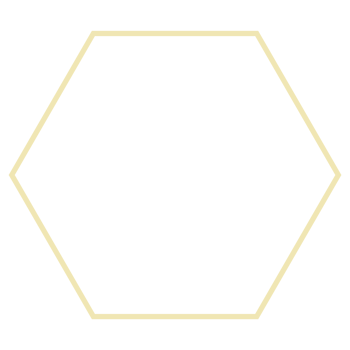 Minimalist Gold Frame png