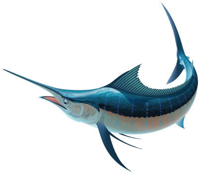 Sword fish Transparent png