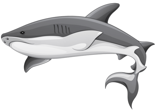 Grey Shark Transparent png