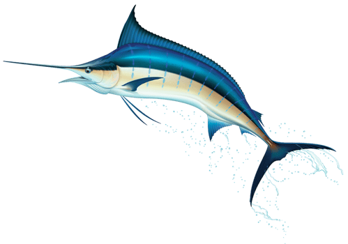 Sword fish Transparent png