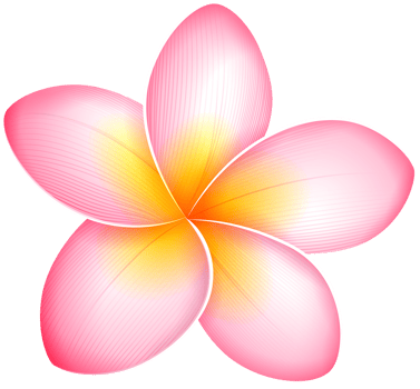 Pink Exotic Flower png