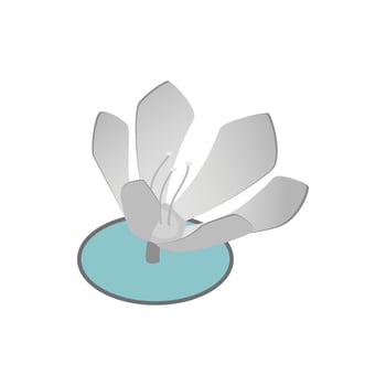 Lotus flower icon, isometric 3d style vector