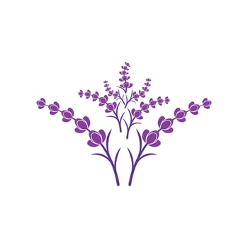 Fresh lavender flower logo vector