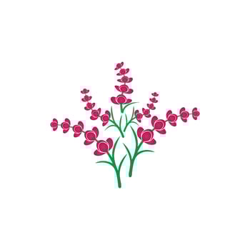 Fresh lavender flower logo vector