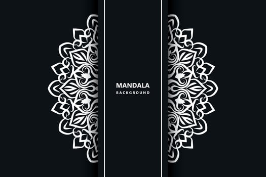 Mandala background Design pro vector