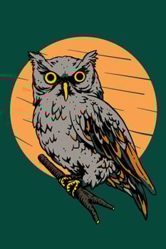 Illustration of owl vector