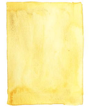 watercolor boho style modern png