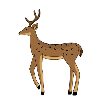 Cartoon deer isolated. Christmas cute deer. Vector illustration