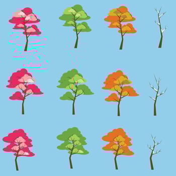 all season tree spring summer autumn and winter vector
