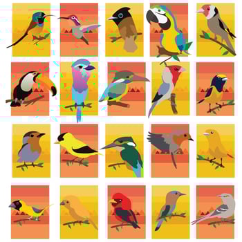 Big vector set with birds in cartoon style. Vector collection with birds on a colorful background.